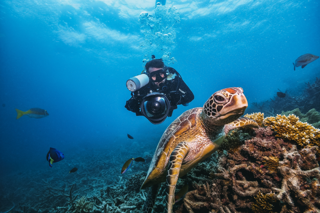 Deep Sea Diving with Sea Turtle